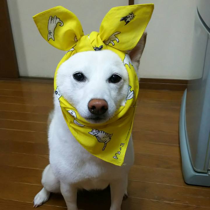 83d4259c acdd 4ded 939c f6286485e210