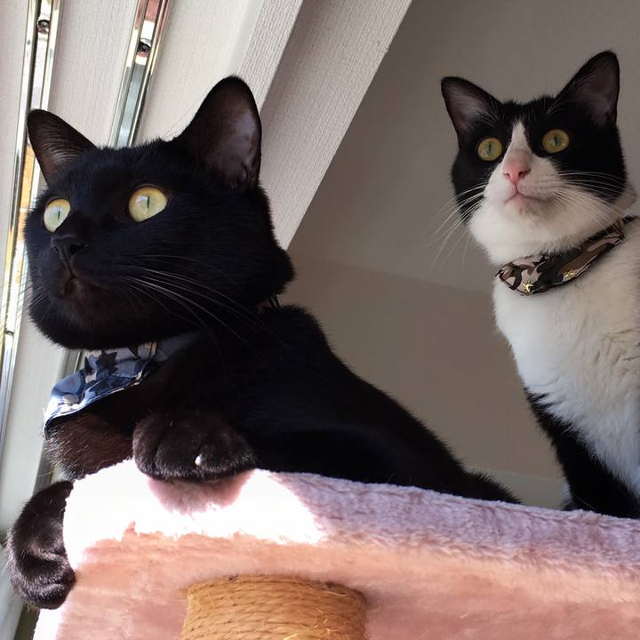 83d65f7b 35e3 4548 b5a5 f4a11f2e8c14