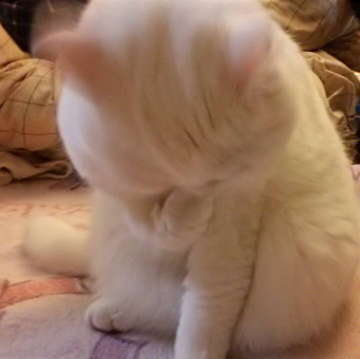 83d6693b 4123 4aa4 b712 5b23adb4b456