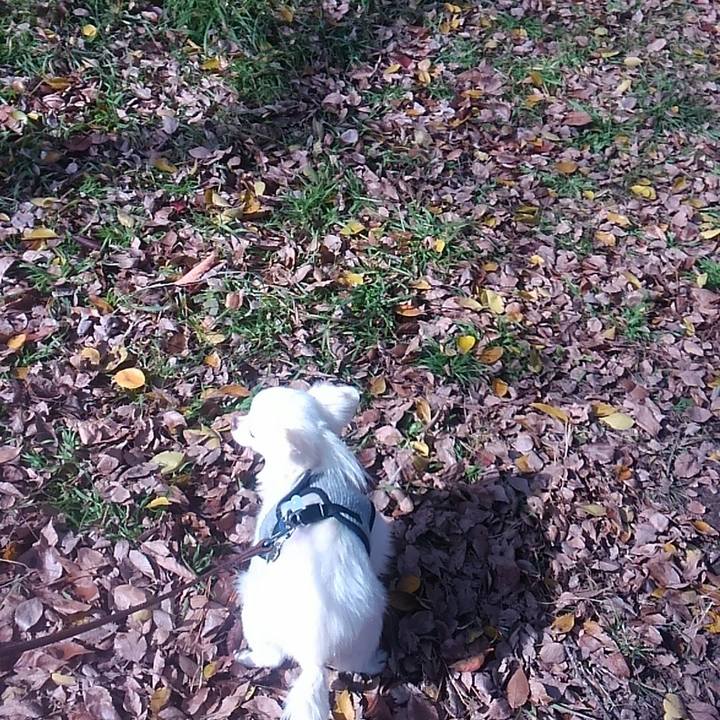 83d73f1d e74c 46a1 97e2 b7a62ff45808