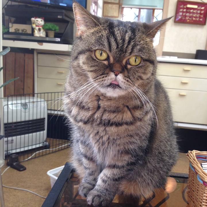 83d79721 9208 40a3 9168 8083218cd004