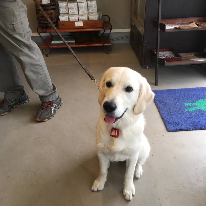 83d7c736 c8e0 4916 8d7b 0dcf64720bee