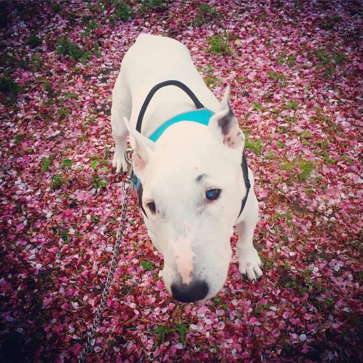 83d7f8bb 83e0 479f a18b a297eb7b07ad