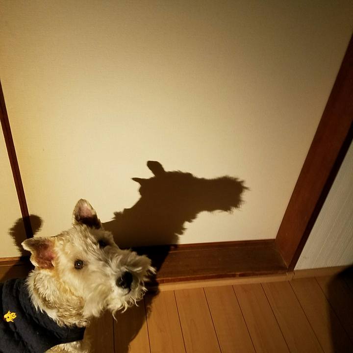 83d8c05d c9fc 4a49 ba0e c9cd2f8e5631