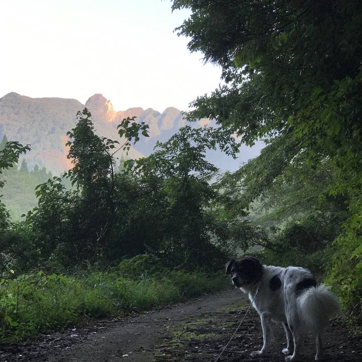 83d90993 3eb8 47b1 91a1 b3ba8450f662