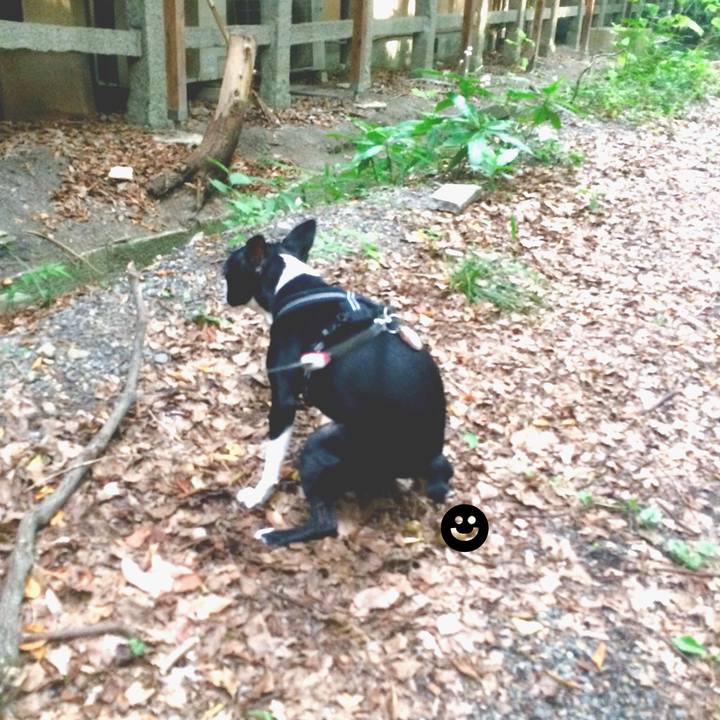 83d95176 9bab 4b27 bd30 61b21820ef24