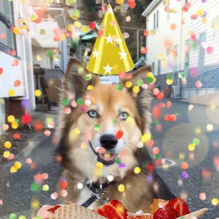 83da7677 5f2e 46b1 92a5 32836df6528a