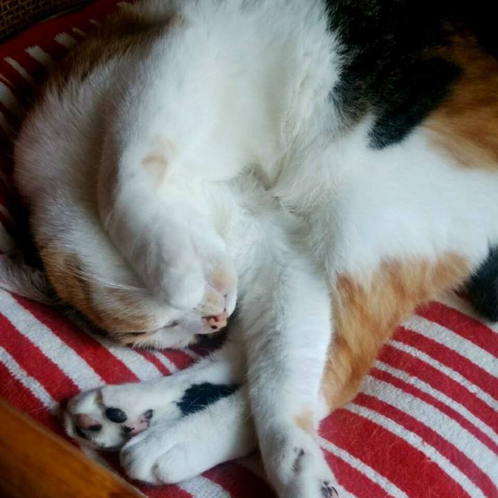 83da9b30 731d 4bf2 bf3f a76082cbf878