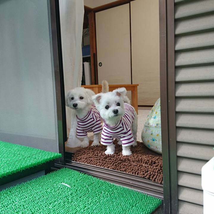 83daa9d5 bfce 4927 8842 dd58cf3ddc85