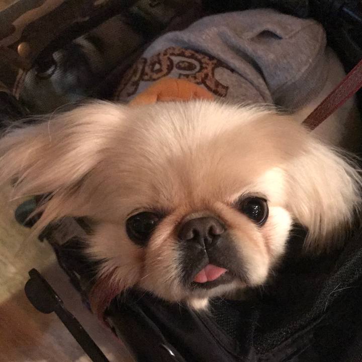 83dad6b0 2d97 4124 b37e fd2ac9815349