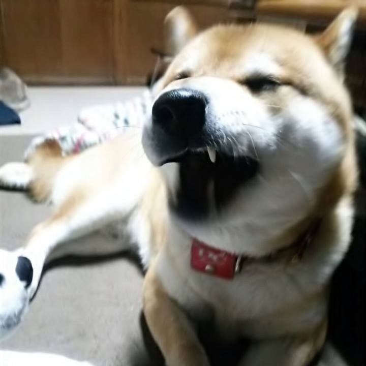 83dafde8 9472 4e2d 988d d3a7604ee861