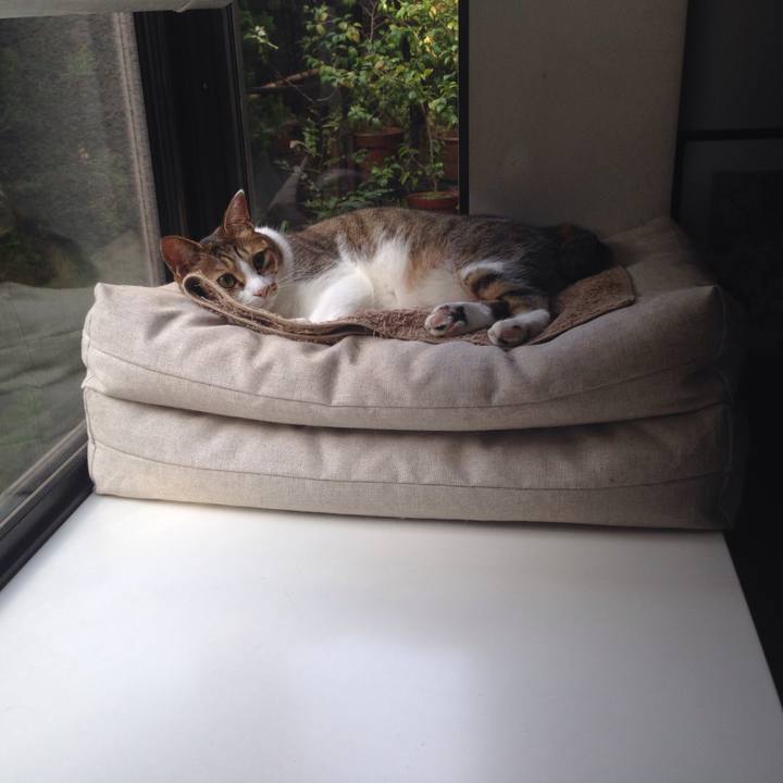 83db05e6 b5c6 4752 a84d dad854f1007b