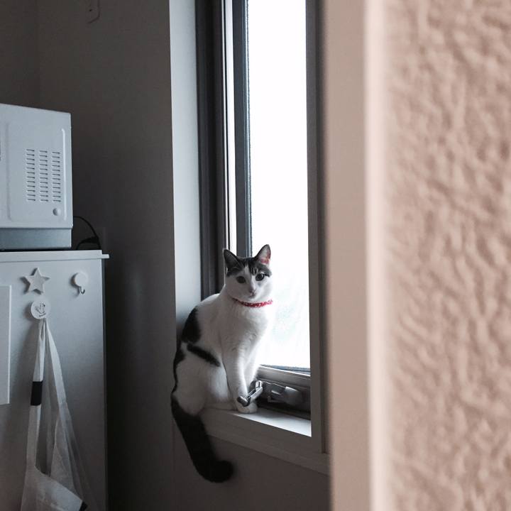 83dbe411 0397 43f9 830f c96af74546eb