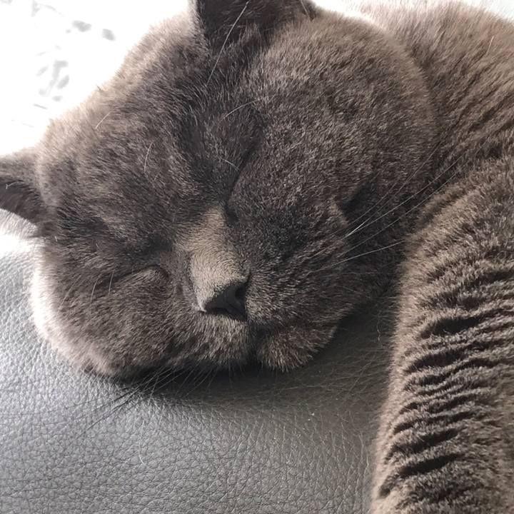 83dd4087 0bde 4114 99fc 10afc309a1bf