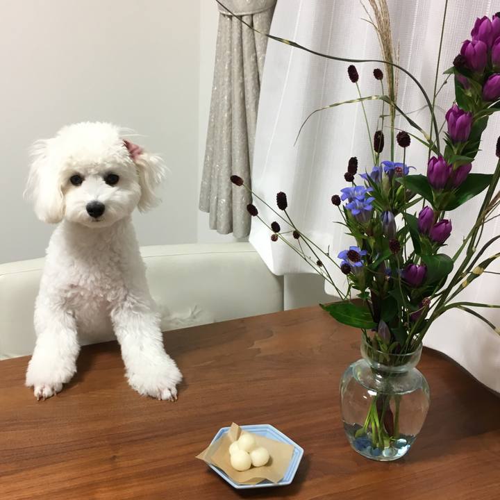 83dd4928 b312 456c b837 b65bc57a77e4