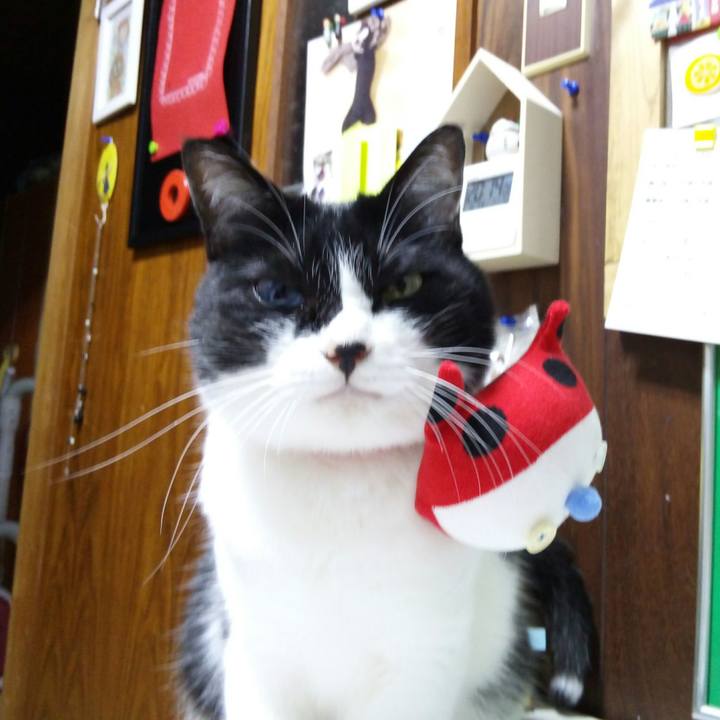 83ddcad8 4147 44a1 bfcc d194bccd51ac