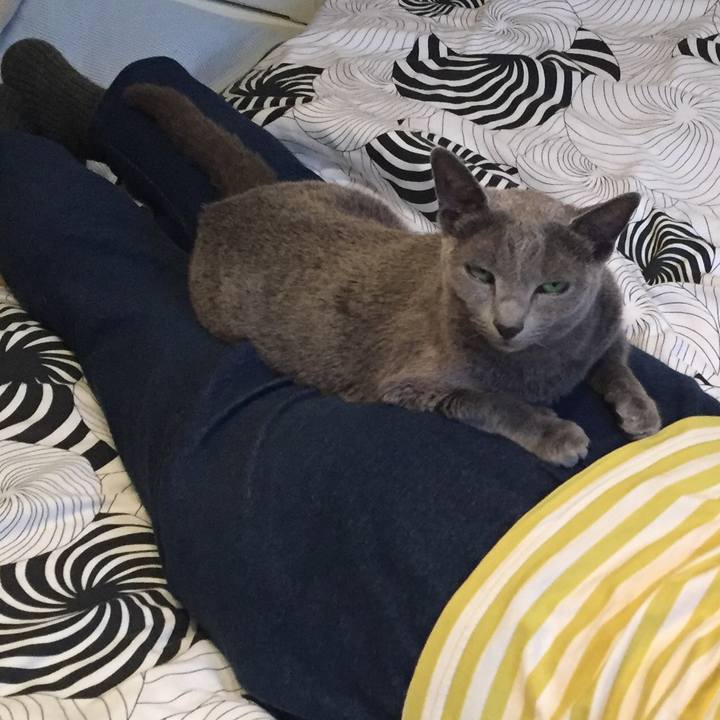 83dde014 9b75 49bc 848b c43887e1a7ca