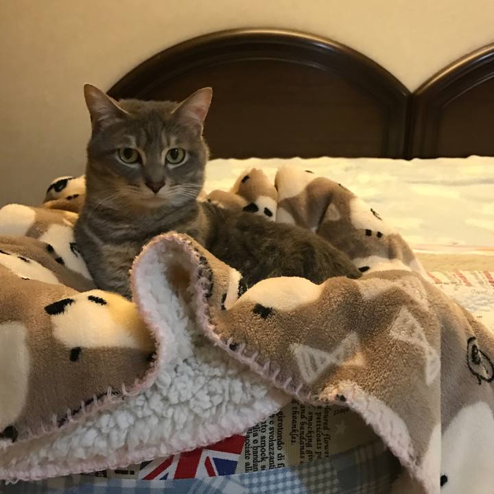 83de1abe 8d8d 416e aae3 521a6f844094