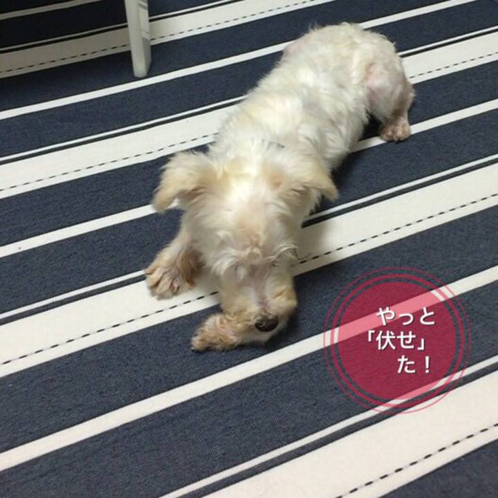 83df2505 5c02 493e b92b 848390c18781