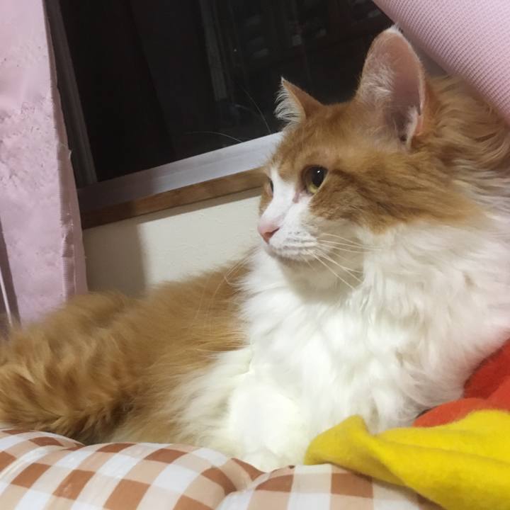 83df8fae 4795 45ca 9681 3d81280e9418