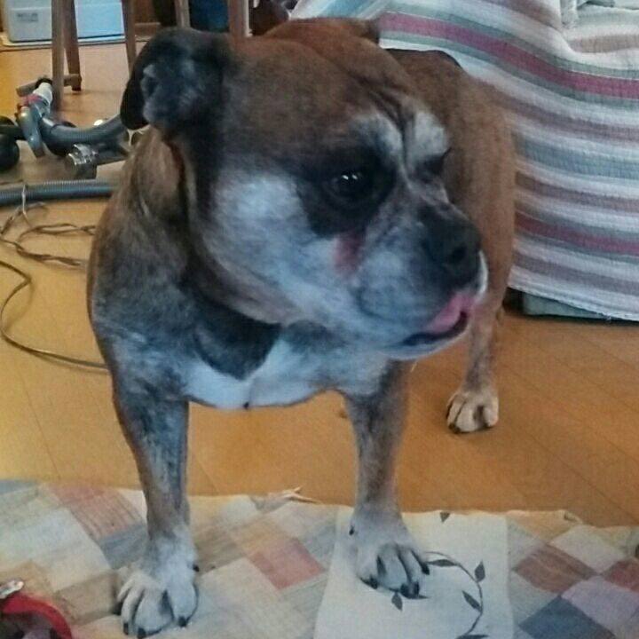 83dff267 89b2 4e6c 99cb 6504c44337bc