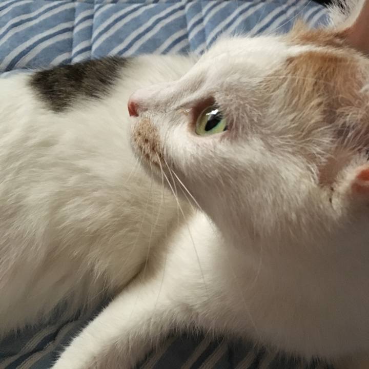 83e05e84 ff27 423e ad0f 78b6fd6867d6