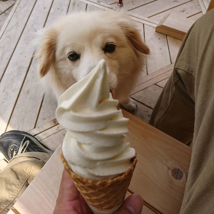 83e10fa1 091f 47b7 a670 25ecd367135a