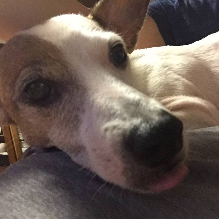 83e11582 f6af 4826 8607 e603a71140e3