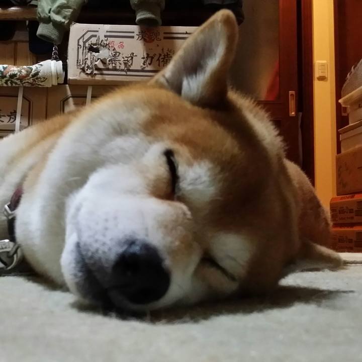 83e199af 47c1 4fcb 9d84 e1a060b707d4