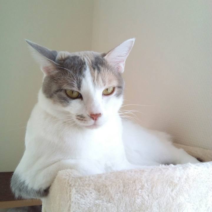 83e19add 815d 4255 a2fc a04546060102