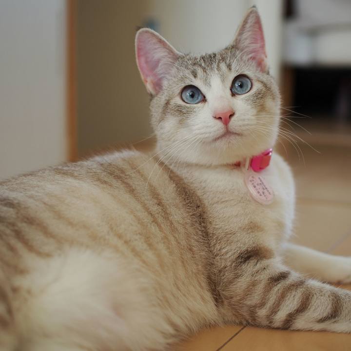 83e20249 e987 47de 95b3 86ff4ef767ec