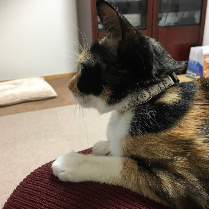 83e2f151 746a 4d3d 8ede 9359356dd7e0