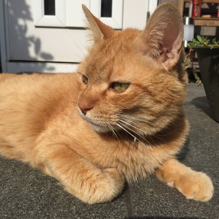 83e30d40 7229 4220 adbc 36115eea6356