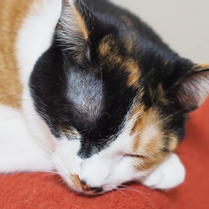 83e35c71 aff5 44b8 8bbc d2f76102f21b