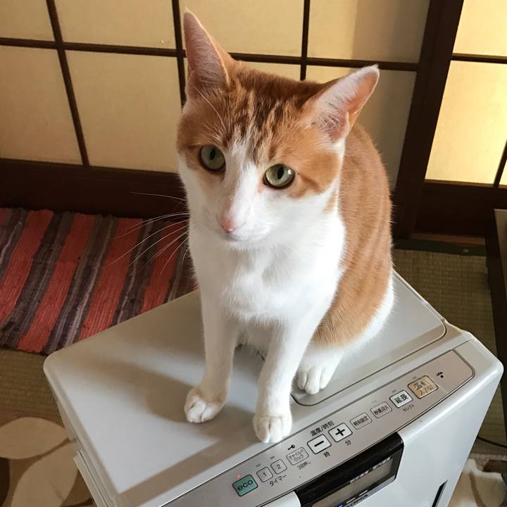 83e3a694 0588 4343 a807 038e0b3dccdf