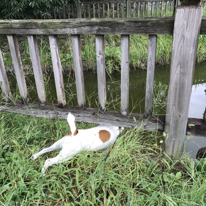 83e429a0 c851 4216 a145 b5512e635b0f