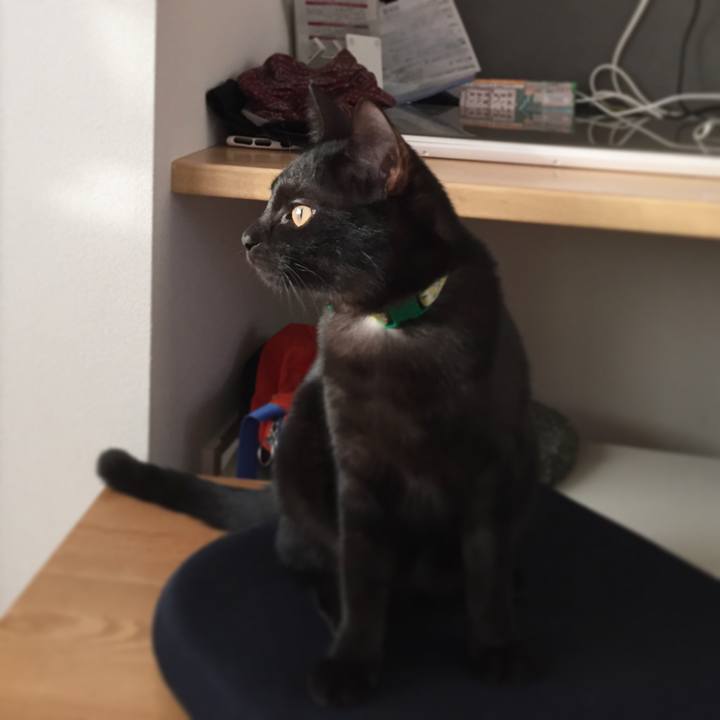 83e49dc5 0baf 475e a06f 0eef1d5473f1