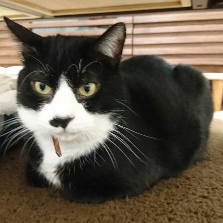 83e4a82b af88 46c4 87c7 2a49152cc468