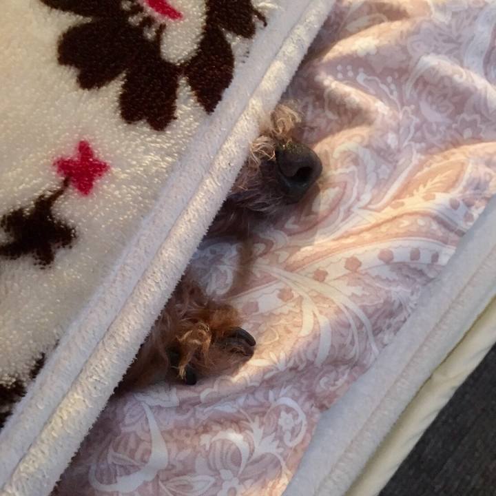 83e4b7ea 6deb 466e a6ee cb62830d7c66