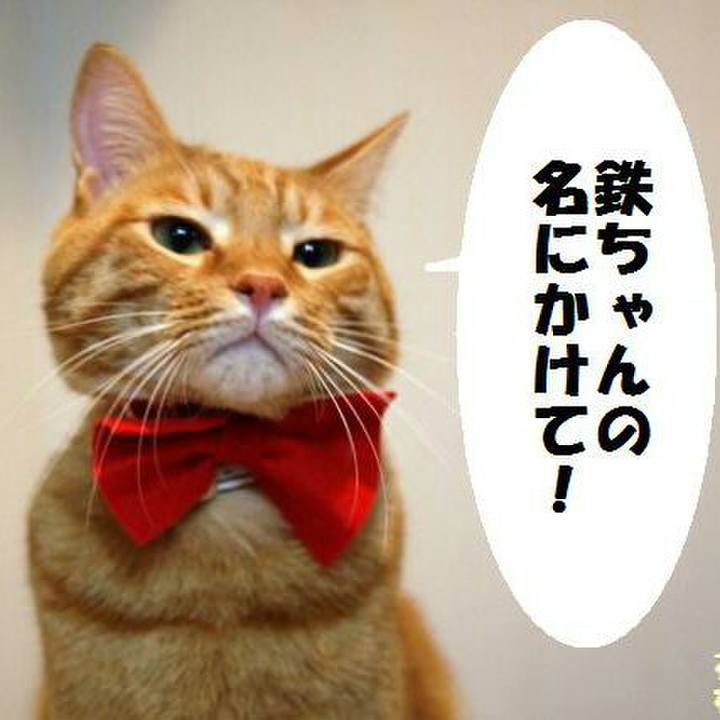 83e51cba 7f4c 4f8b bd29 adfdeb8f5938