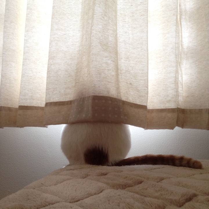 83e5342e 34be 48ce b2a4 2530894f4d89