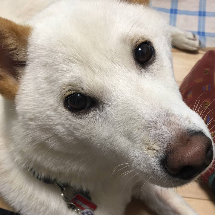 83e57cbd 22ca 4e03 9a27 75ac22df6b24