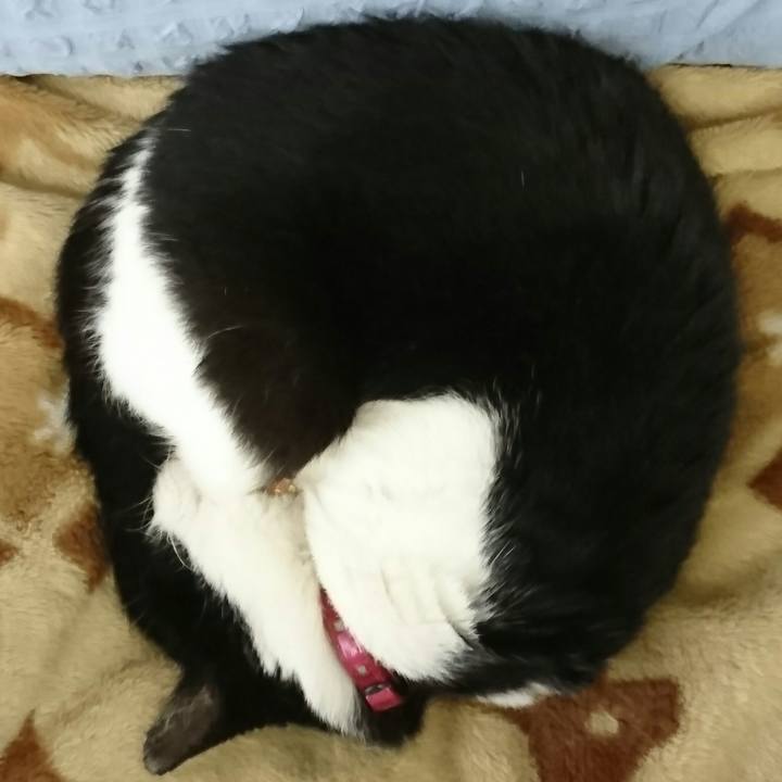 83e60773 84a7 4f46 998d 42a0c4857ebb