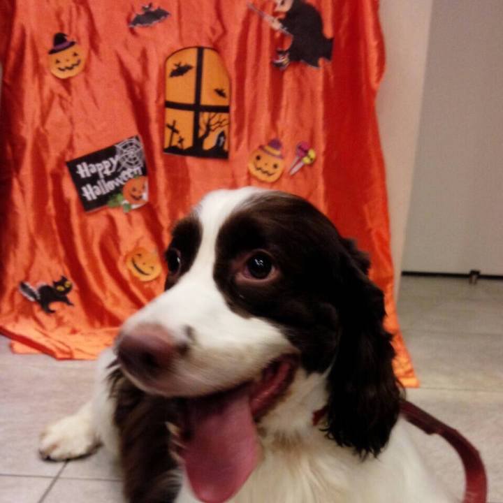 83e60ce3 b42b 4a69 94cb efb519e2553c