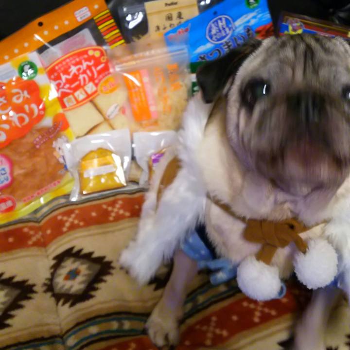 83e74c03 269a 4670 8475 764425bf1963