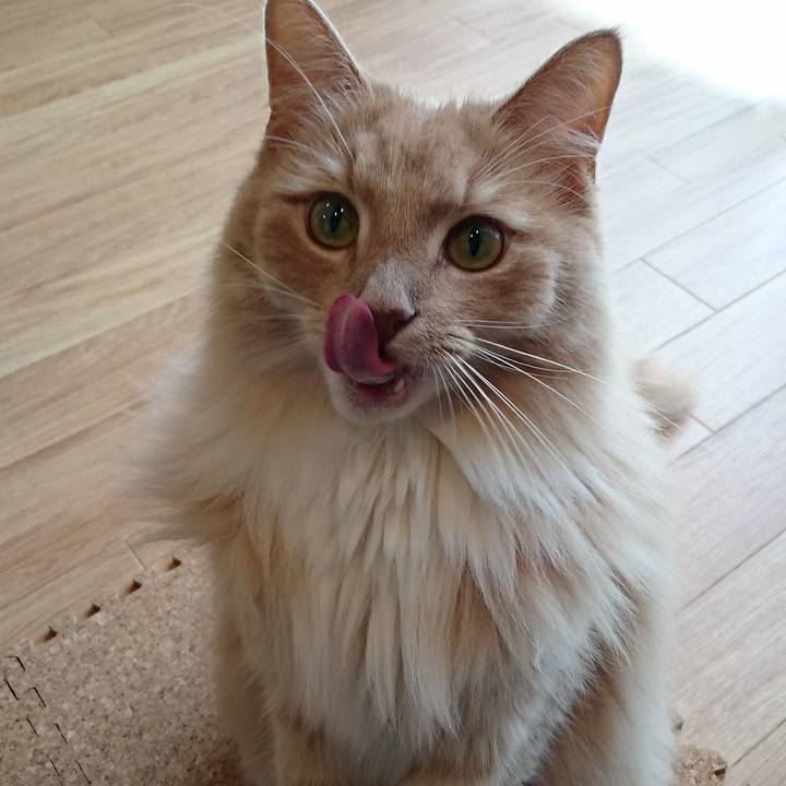 83e7a5ca 34be 4328 8566 44244dbb1407