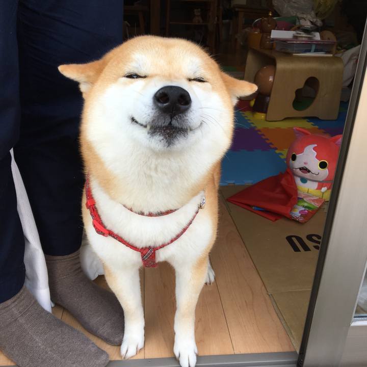 83e818cf 1ebc 40bc 9f0c 30d83e4f13f8