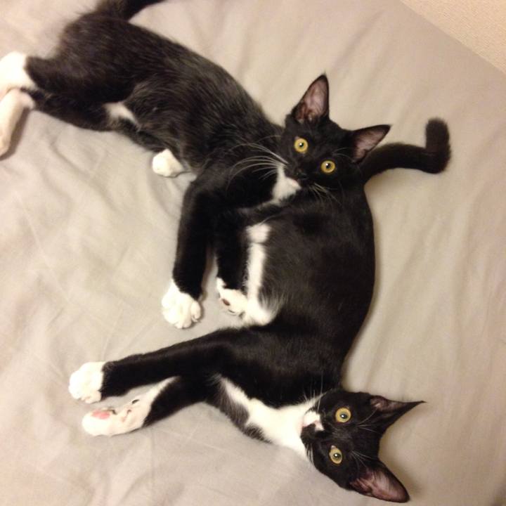 83e84c30 c61d 4e56 a695 b16fedce3d0d