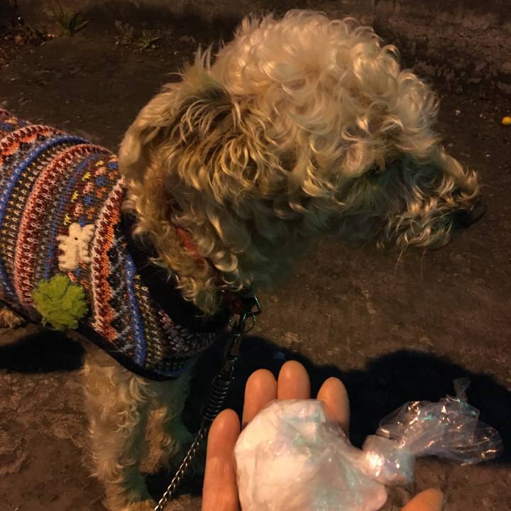 83e8c328 19e3 403d b34e 36657b406e40