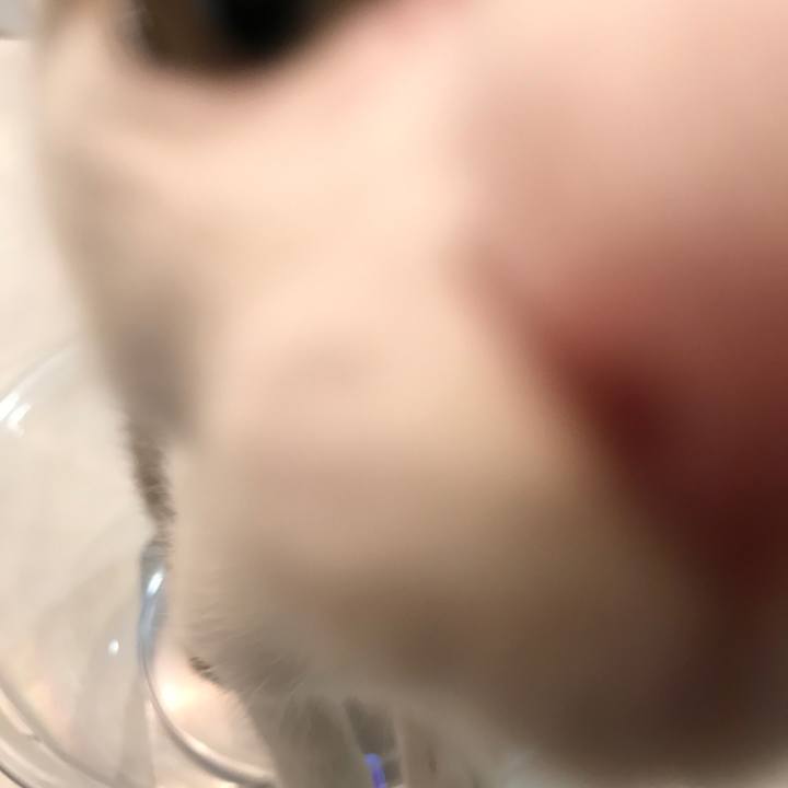 83e8d377 7c57 4bfd 8a83 ab41bc8b097c